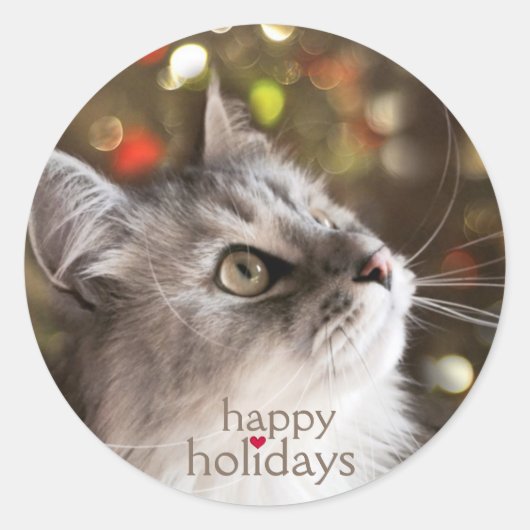 Cat Lover's Sparkling Kerst stickers (Voorkant)