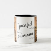Cat Lovers voegt je eigen foto meme Funny Quotes t Tweekleurige Koffiemok (Center)