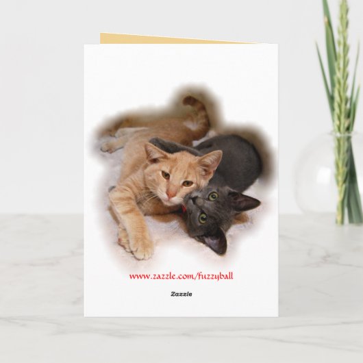 Cat Lovers Wedding Gefeliciteerd Kaart (Achterkant)