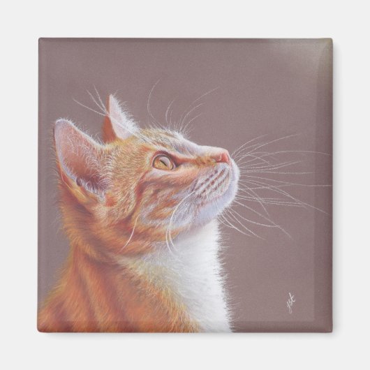 Cat  magneet (Voorkant)