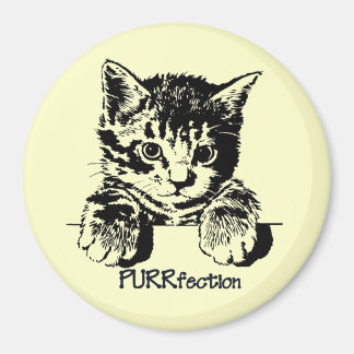 Cat magneet Purefection