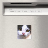 Cat Magnet (Insitu (Vaatwasser))