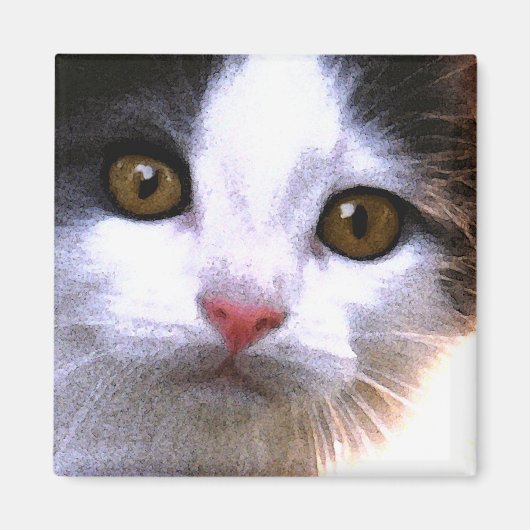 Cat Magnet (Voorkant)