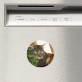 Cat Magnet (Insitu (Vaatwasser))
