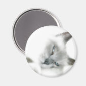 Cat Magnet (Voorkant / Achterkant)