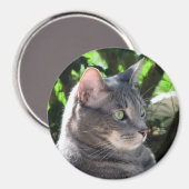 Cat Magnet (Voorkant / Achterkant)