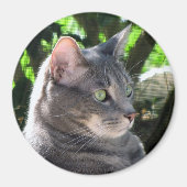 Cat Magnet (Voorkant)