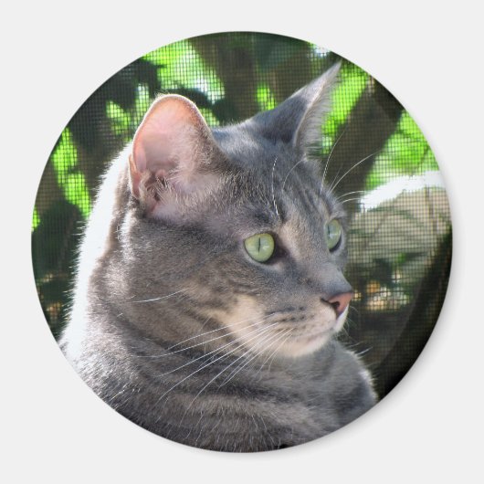 Cat Magnet (Voorkant)