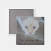 Cat Magnet (Voorkant / Achterkant)