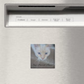 Cat Magnet (Insitu (Vaatwasser))