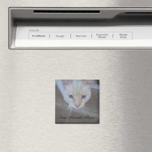 Cat Magnet (Insitu (Vaatwasser))