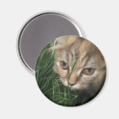 Cat Magnet (Voorkant / Achterkant)