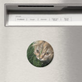 Cat Magnet (Insitu (Vaatwasser))