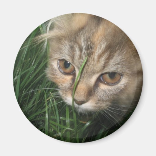 Cat Magnet (Voorkant)