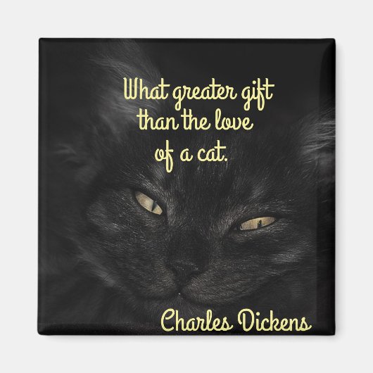 Cat Magnet (Voorkant)