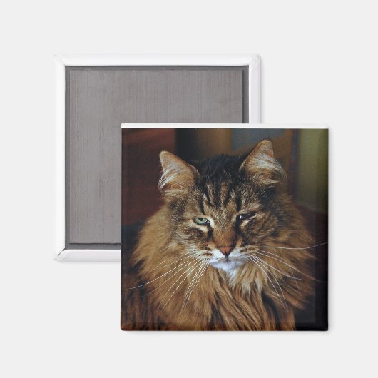 Cat Magnet (Voorkant / Achterkant)