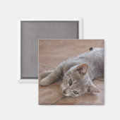 Cat Magnet (Voorkant / Achterkant)