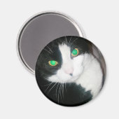 Cat Magnet (Voorkant / Achterkant)