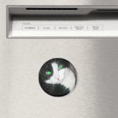 Cat Magnet (Insitu (Vaatwasser))