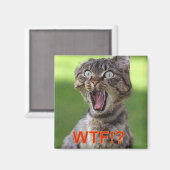 Cat Magnet (Voorkant / Achterkant)