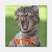 Cat Magnet (Voorkant)