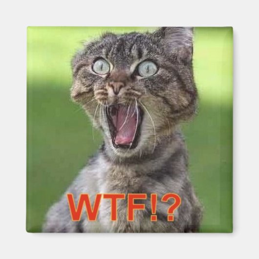 Cat Magnet (Voorkant)