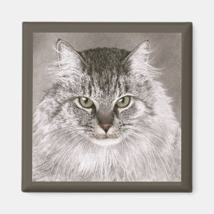 Cat Magnet - "Merlin"