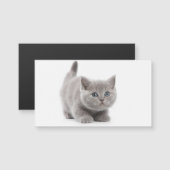Cat Magnetische Kaart (Voorkant / Achterkant)