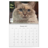 Cat Mascot Calendar Kalender (Jan 2027)