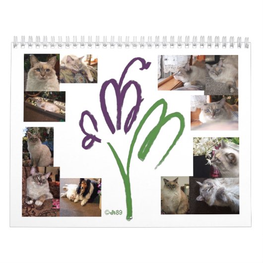 Cat Mascot Calendar Kalender (Hoes)