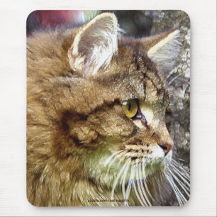 "Cat Mat" Maine Coon Cat-lover Mousepad Muismat