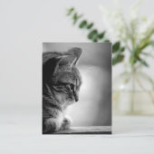 Cat Meditating Black en White Briefkaart (Staand voorkant)
