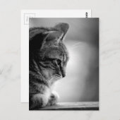 Cat Meditating Black en White Briefkaart (Voorkant / Achterkant)