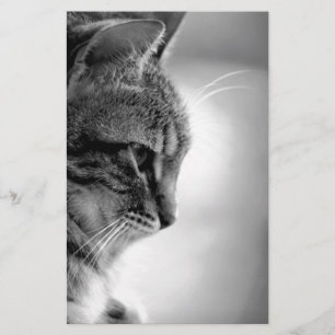 Cat Meditating Black en White Briefpapier