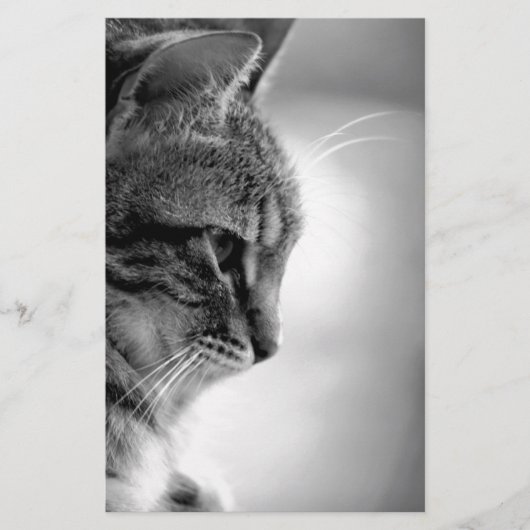 Cat Meditating Black en White Briefpapier (Voorkant)