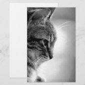Cat Meditating Black en White Briefpapier (Voorkant / Achterkant)