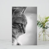 Cat Meditating Black en White Briefpapier (Staand voorkant)