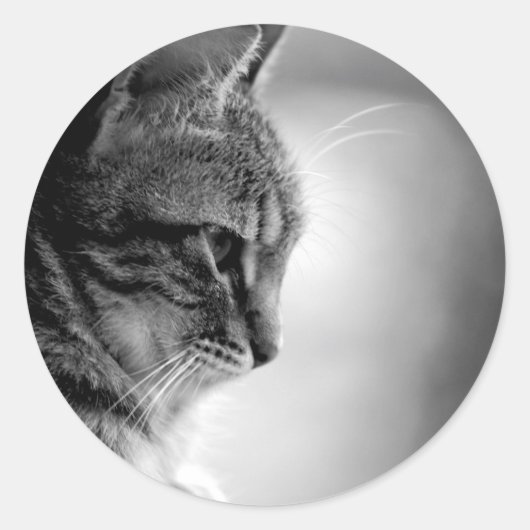 Cat Meditating Black en White Ronde Sticker (Voorkant)