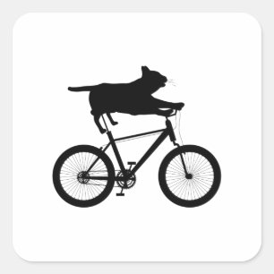Cat meh Riding Bicycle Funny Vierkante Sticker