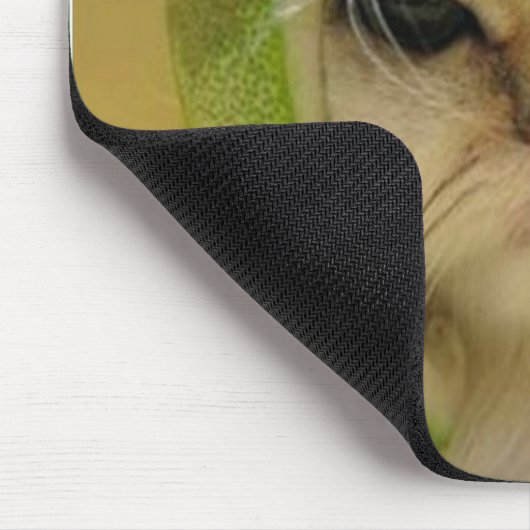 Cat Melon Muismat (Hoek)