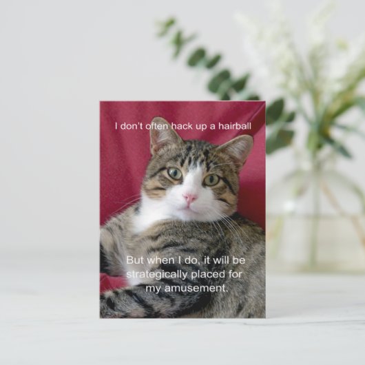 Cat Meme Briefkaart (Staand voorkant)