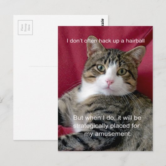 Cat Meme Briefkaart (Voorkant / Achterkant)