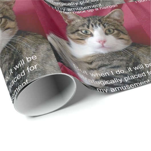 Cat Meme Cadeaupapier (Rol Hoek)