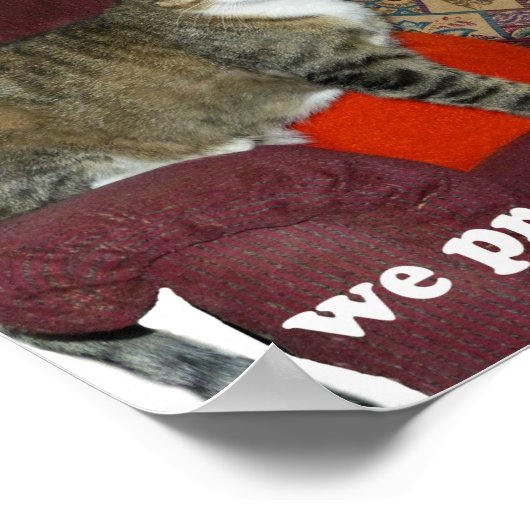 Cat Meme Poster (Hoek)