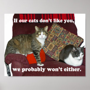 Cat Meme Poster