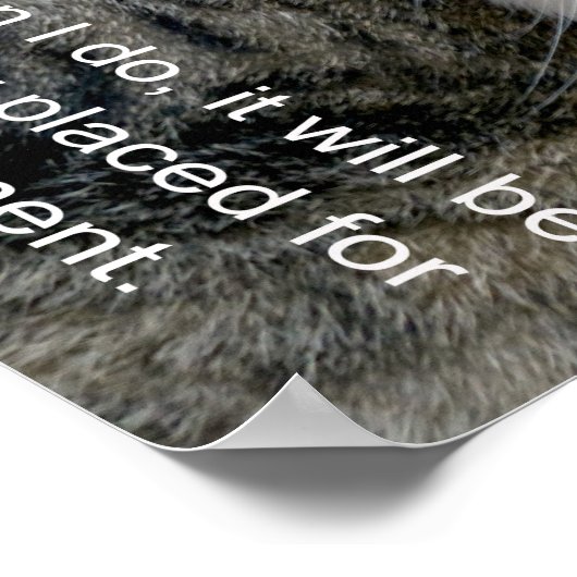 Cat Meme Poster (Hoek)