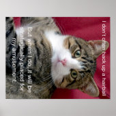 Cat Meme Poster (Voorkant)