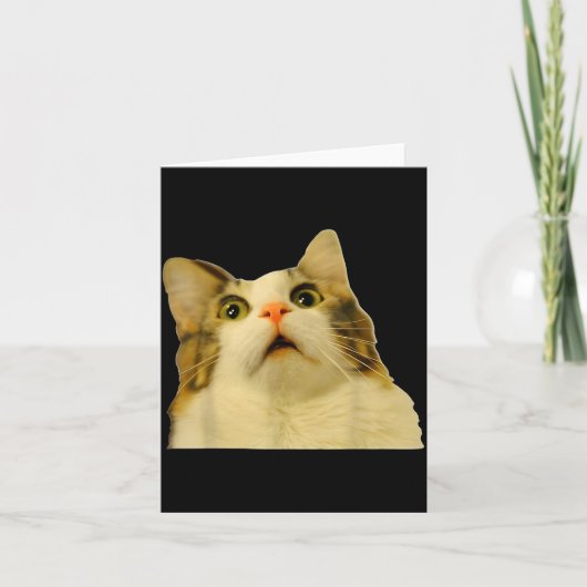 Cat Meme Shock Cat Face Funny Meme Cat Silly Gift  Kaart (Voorkant)
