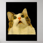 Cat Meme Shock Cat Face Funny Meme Cat Silly Gift Poster (Voorkant)