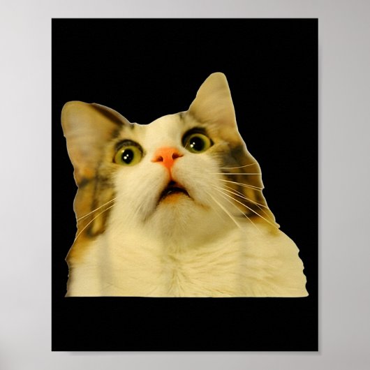 Cat Meme Shock Cat Face Funny Meme Cat Silly Gift  Poster (Voorkant)